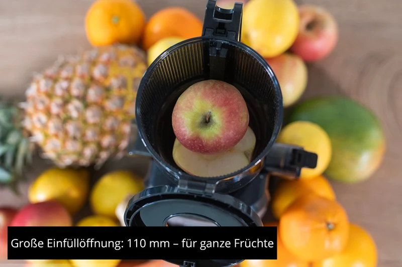 Slow Juicer Sam