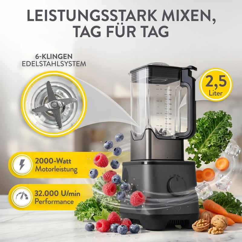 Hochleistungsmixer Hanno
