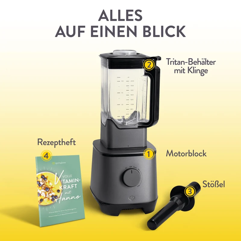 Hochleistungsmixer Hanno