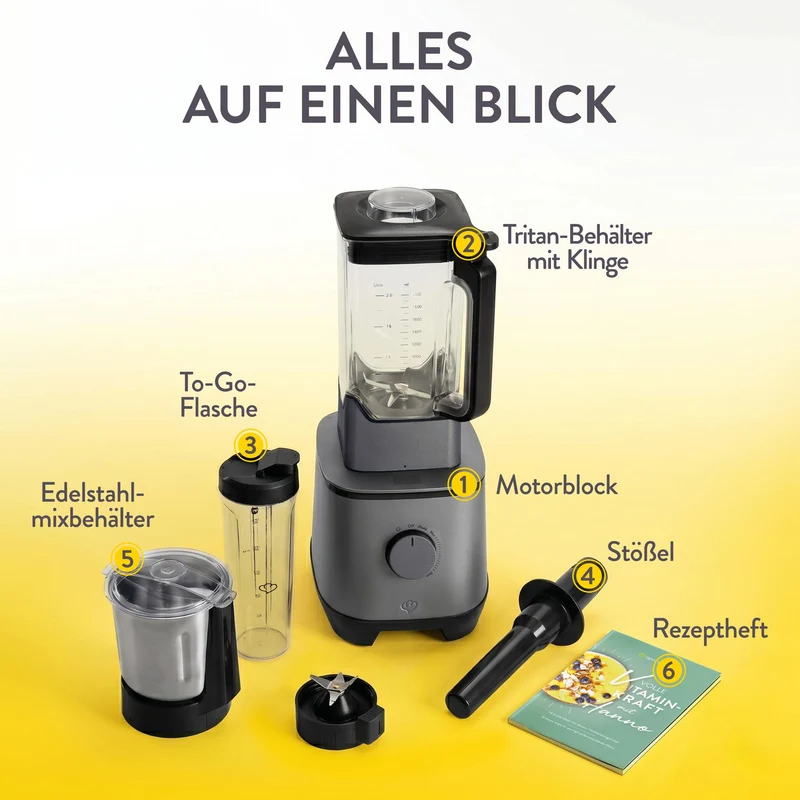 Hochleistungsmixer Hanno