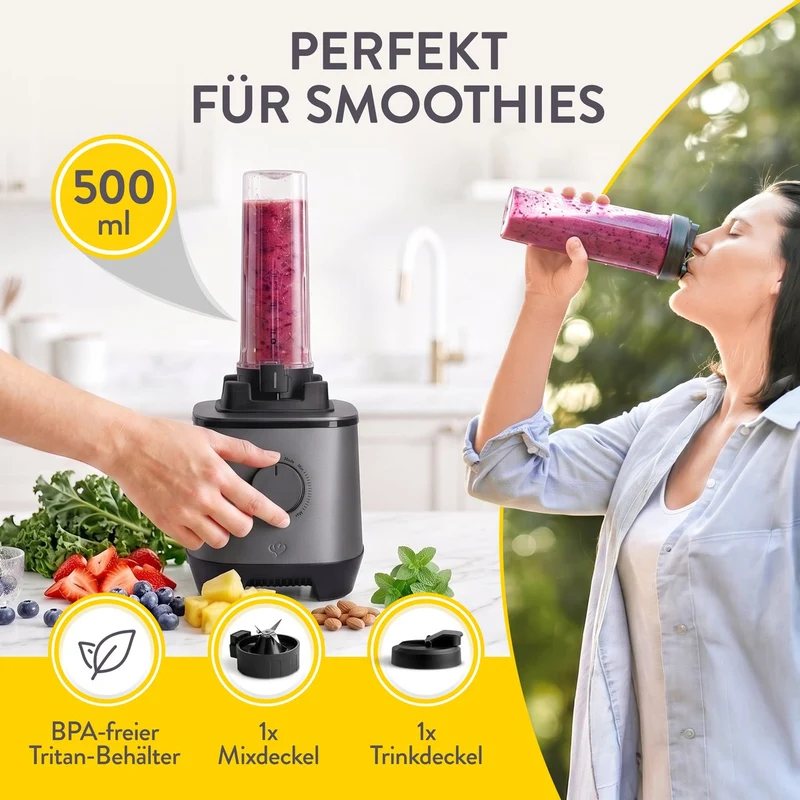 Hochleistungsmixer Hanno
