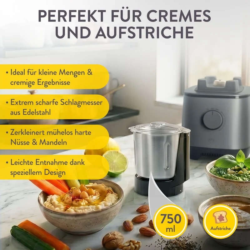 Hochleistungsmixer Hanno