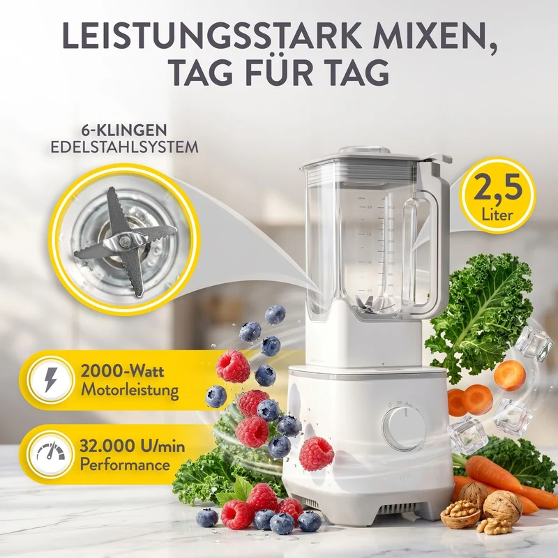 Hochleistungsmixer Hanno