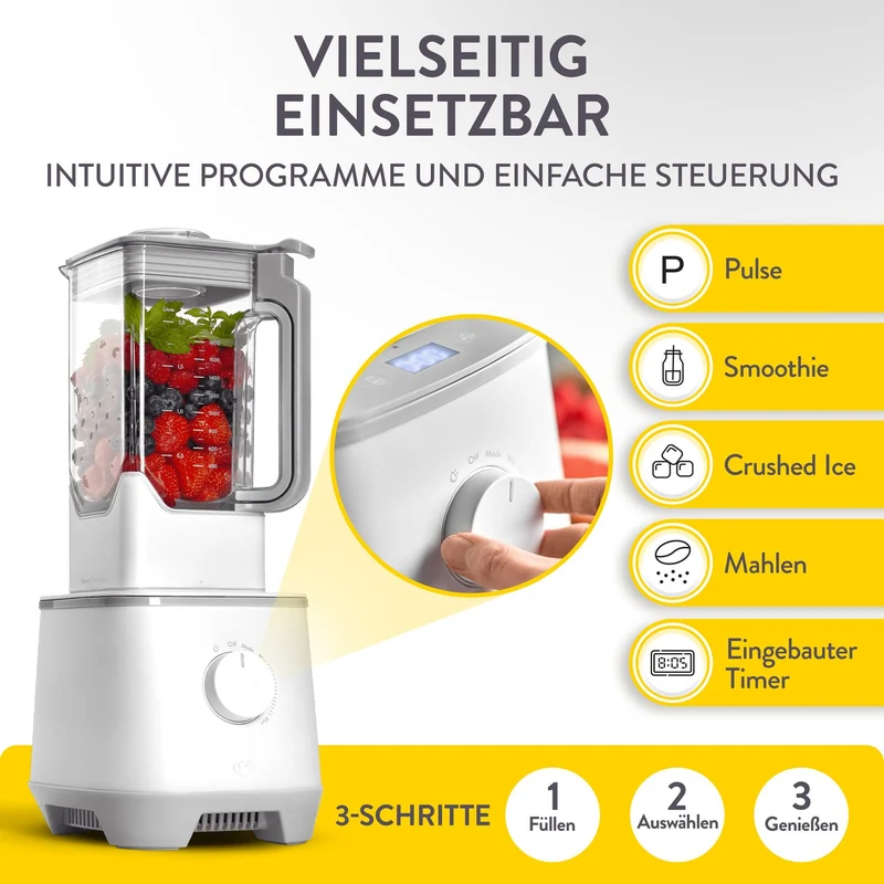 Hochleistungsmixer Hanno