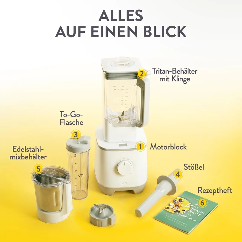 Hochleistungsmixer Hanno