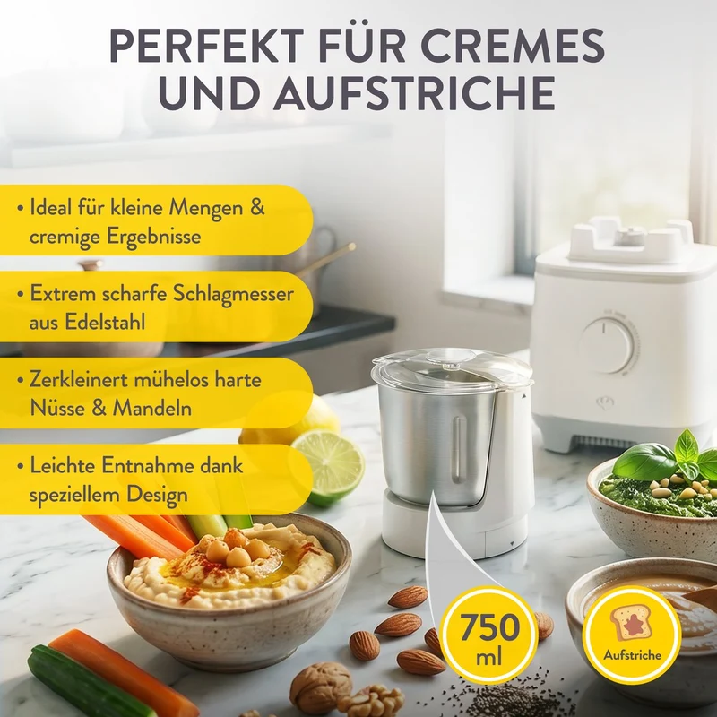 Hochleistungsmixer Hanno