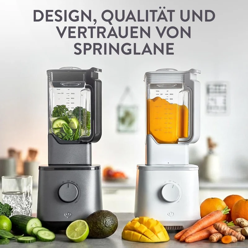 Hochleistungsmixer Hanno
