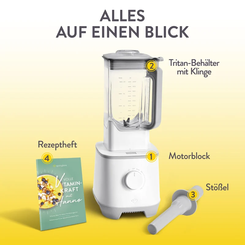 Hochleistungsmixer Hanno