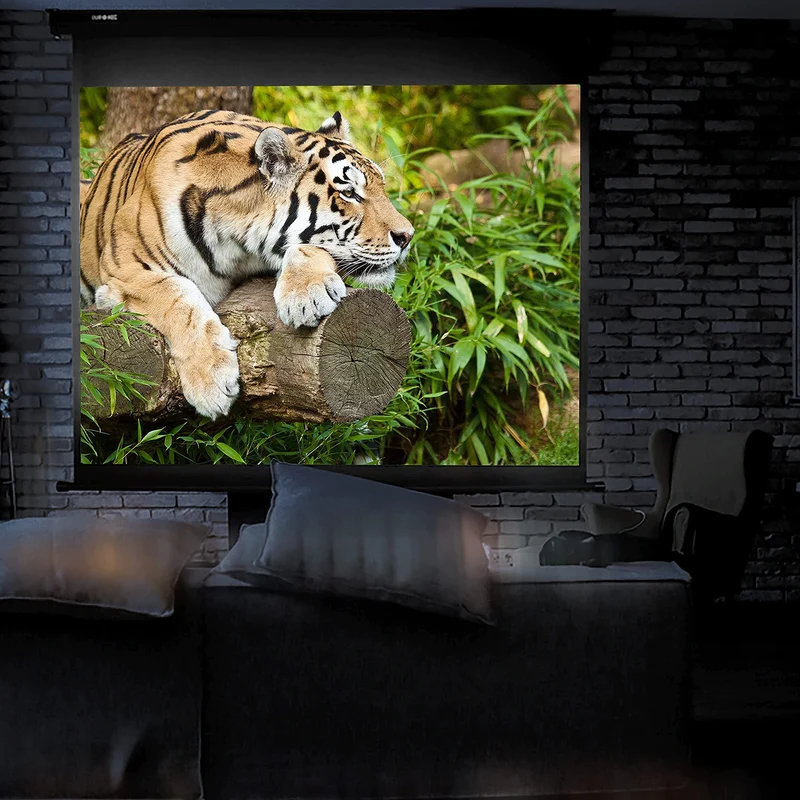 Duronic MPS100 16:9 BK Leinwand | 100" Zoll Breitbild Rolloleinwand 220 x 124 cm | Heimkino mit 4K Full HD 3D | Gain 1.0 | Projektionsleinwand für Decken- und Wandmontage | Beamerleinwand für Büro