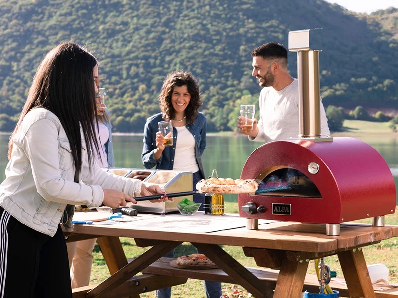 Alfa Forni Moderno Portable, Gas, Grau